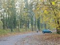 2012-11-15 15-48-00 Etangs de la Miniere-L'apres-midi YLe