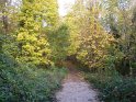 2012-11-15 15-51-51 Etangs de la Miniere-L'apres-midi YLe