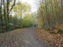 2012-11-15 16-09-45 Etangs de la Miniere-L'apres-midi YLe