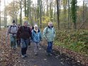 2012-11-15 16-16-06 Etangs de la Miniere-L'apres-midi YLe