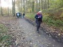 2012-11-15 16-16-38 Etangs de la Miniere-L'apres-midi YLe