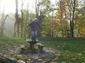 2012-11-15 16-48-22 Etangs de la Miniere-L'apres-midi CGn