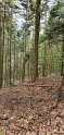 2021-09-20 14-32-55 Rando chateau du Landsberg FGn