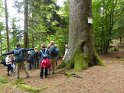 2021-09-20 14-45-57 Rando chateau du Landsberg MBo