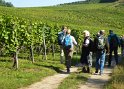 2021-09-21 12-13-47 Vignes d'Eguisheim MBo