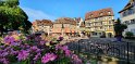 2021-09-21 16-27-58 Colmar FGn