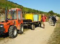 2021-09-23 15-55-19 A travers les vignes MBo