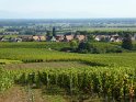 2021-09-23 15-56-54 A travers les vignes MBo