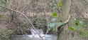41 - St Arnoult-Rando FGn