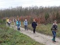 2011-12-08 15-52-40 St Cyr sous Dourdan-apres-midi DLe