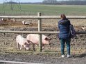 2022-03-10 11-11-51 La ferme des Sueurs  DFr