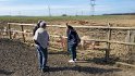 2022-03-10 11-12-18 La ferme des Sueurs  DFr