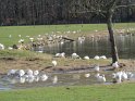 2022-03-10 11-13-21 La ferme des Sueurs  DFr