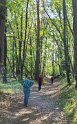 2025-04-17 11.42.12  Rando St Sulpice AM FGn