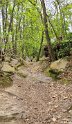 2025-04-17 14.37.12  Rando St Sulpice PM FGn