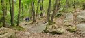 2025-04-17 14.39.31  Rando St Sulpice PM FGn