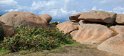 2023-09-17 15-09-27 Tregastel-Ile Renote FGn