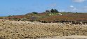 2023-09-18 14-31-48 Ile Grande FGn