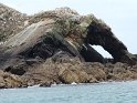 2023-09-19 15-03-19 Peros Guirec-Archipel des 7 iles FGn