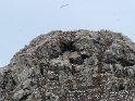 2023-09-19 15-06-02 Peros Guirec-Archipel des 7 iles FGn