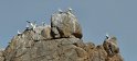 2023-09-19 15-12-46 Peros Guirec-Archipel des 7 iles FGn