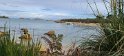 2023-09-21 10-57-34 Presqu'ile de Landrellec FGn