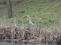 2012-02-16 11-53-23 Vauhallan DLe