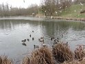 2012-02-16 11-54-00 Vauhallan DLe