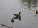 2012-02-16 11-55-14 Vauhallan JFi