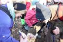 2015-02-05 10-47-32 Rando Verrieres-Vauhallan YLe