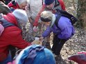 2015-02-05 10-50-30 Rando Verrieres-Vauhallan DLe