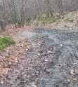 2016-02-04 11-36-46 Rando AM Bievres-Vauhallan JFi