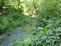 2012-09-06 11-55-29 Vaux de Cernay CGn