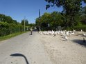 2019-07-04 09-46-10 Rando barbecue CGn