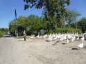 2019-07-04 09-46-19 Rando barbecue CGn