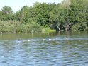 2019-07-04 10-26-15 Rando barbecue CGn