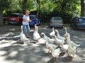 2019-07-04 14-13-29 Rando barbecue FGn