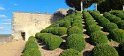2022-10-04 16-17-39 Jardins du Chateau FGn