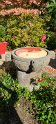2022-10-05 14-50-04 La Pagode-Jardin chinois FGn