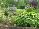 2009-05-19 15-18-53 Les hortillonnages CGn