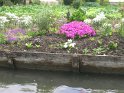 2009-05-19 15-19-07 Les hortillonnages CGn