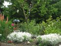 2009-05-19 15-19-25 Les hortillonnages CGn