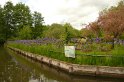 2009-05-19 15-39-04  Les hortillonnages DLe
