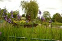2009-05-19 15-39-20  Les hortillonnages DLe