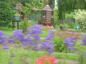 2009-05-19 15-42-04 Les hortillonnages CGn