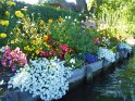 52-BdS-Hortillonnages MBo