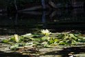 53-BdS-Hortillonnages BMa