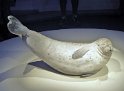36- Musee Baie de Somme MBo