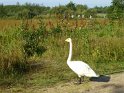 40-Parc du Marquenterre MBo