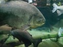 2024-10-02 15-39-16 Nausicaa FGn